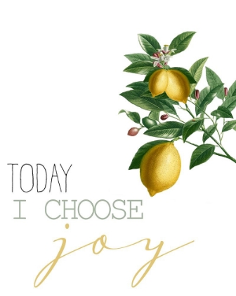 Picture of TODAY I CHOOSE JOY