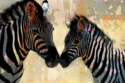 Picture of ZEBRA LOVE