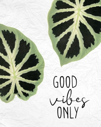 Picture of GOOD VIBES LEAVES