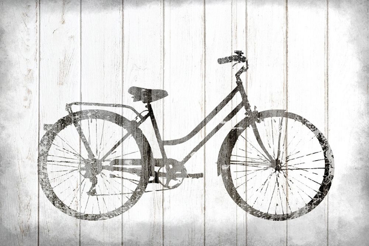 Picture of VINTAGE BIKE V5