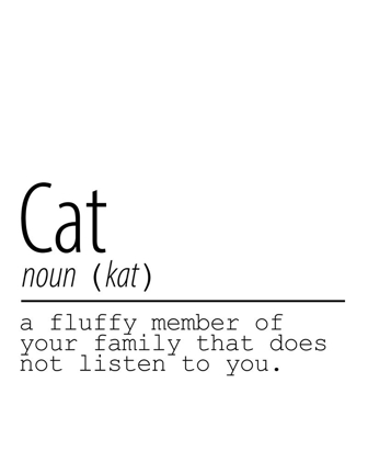 Picture of CAT NOUN