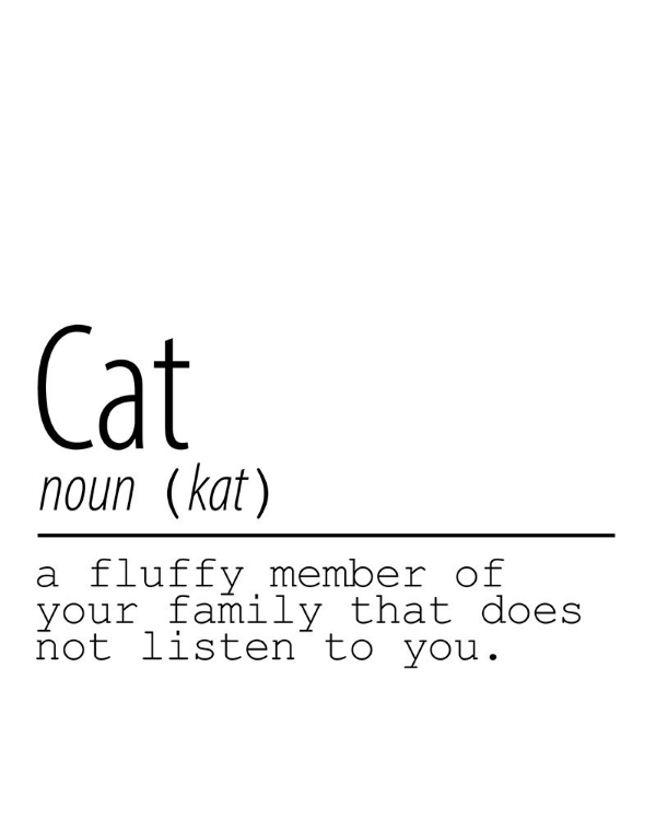 Picture of CAT NOUN