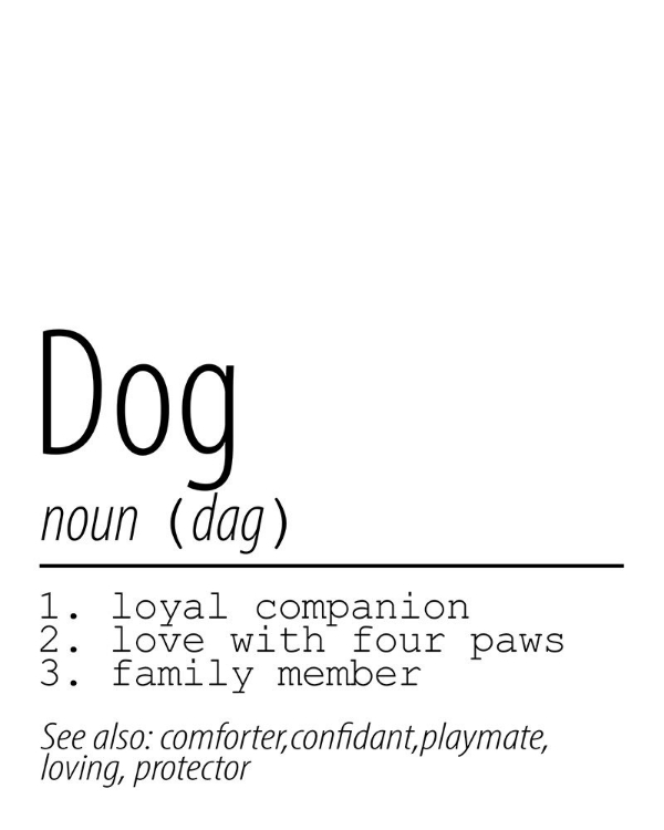 Picture of DOG NOUN