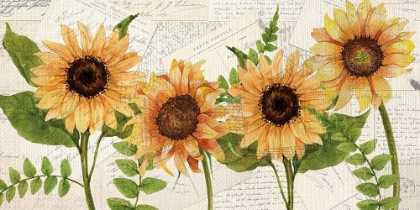 Picture of SUNFLOWER LETTERS