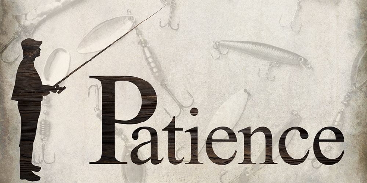 Picture of PATIENCE