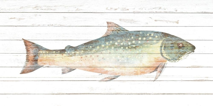 Picture of TROUT 2