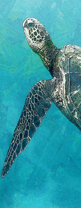 Picture of SEA TURTLE 3