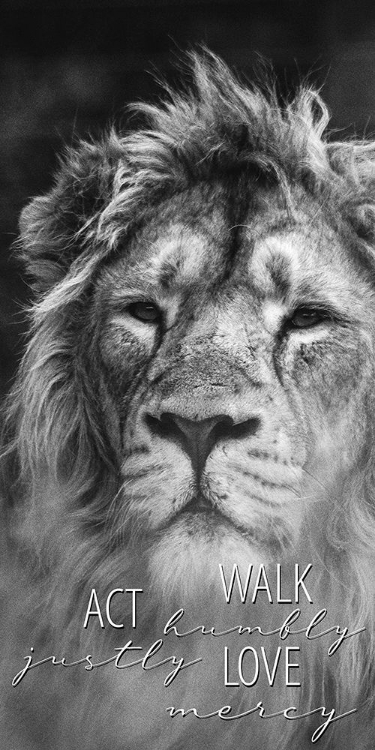 Picture of ACT JUSTLY LION