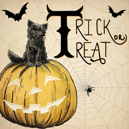 Picture of TRICK OR TREAT CAT