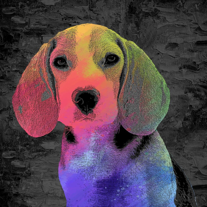 Picture of BEAGLE