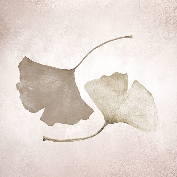 Picture of GINKGO 2