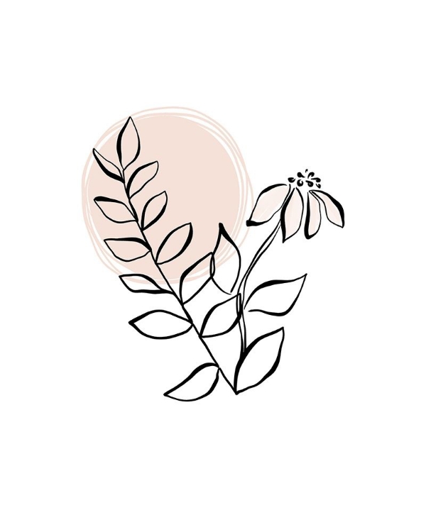 Picture of LINE DRAWING FLORALS BLUSH