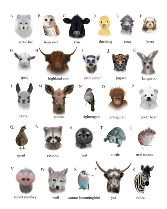 Picture of A TO Z ANIMALS WHITE BACKGROUND