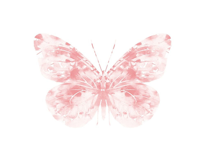 Picture of BLUSH BUTTERFLY