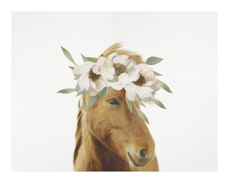 Picture of FLORAL HORSE