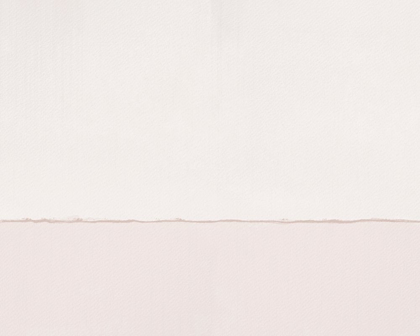 Picture of PALE ABSTRACT IN PINKS