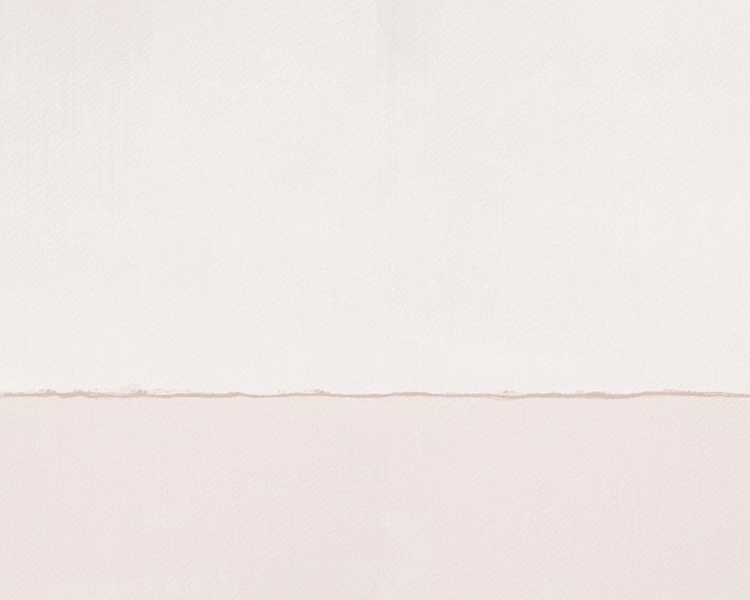 Picture of PALE ABSTRACT IN PINKS