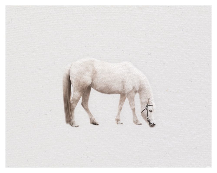 Picture of HORSE MINIMAL