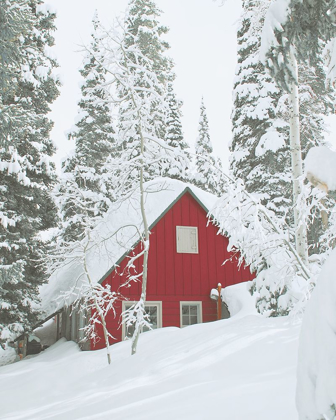 Picture of RED WINTER CABIN