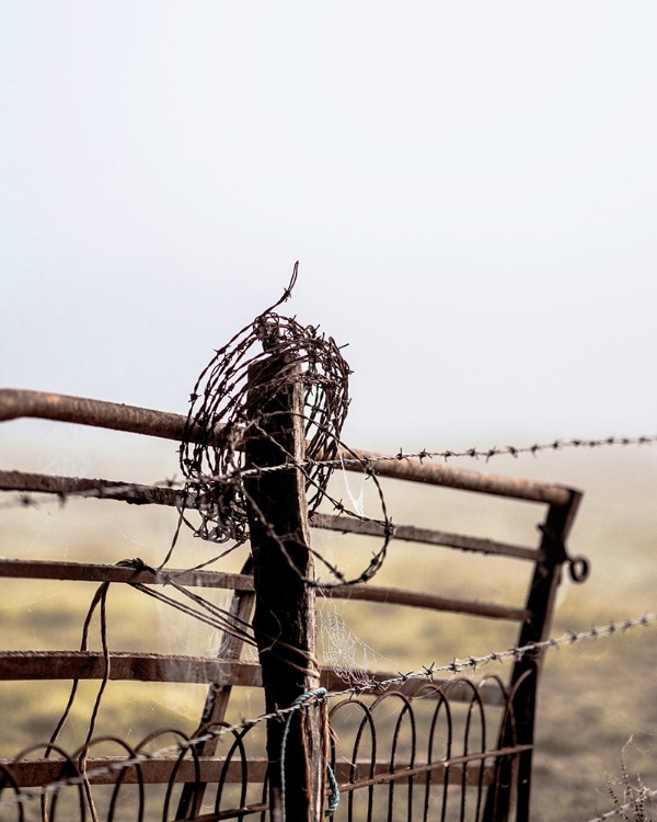 Picture of RUSTY FENCE