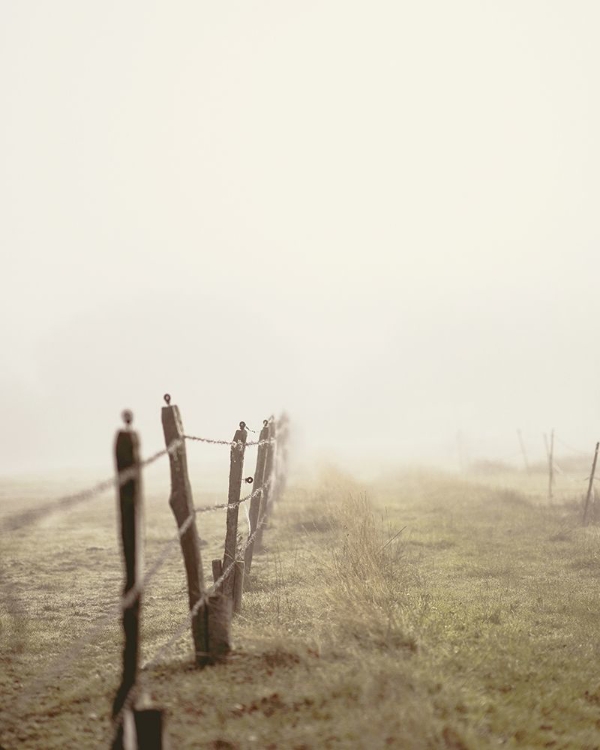 Picture of BEAUTIFUL MEADOW PATH WITH OLD FENCE