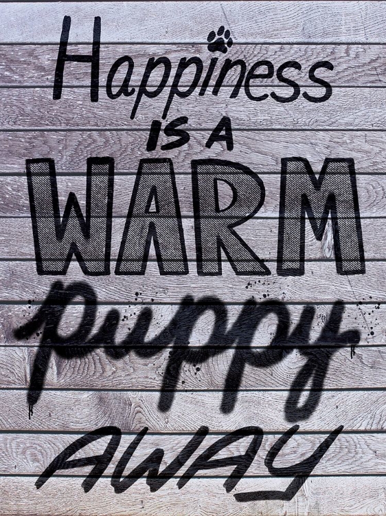 Picture of WARM PUPPIES 1