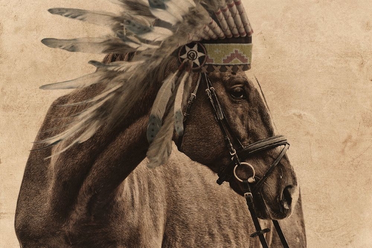 Picture of NATIVE HORSE