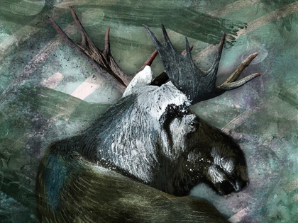 Picture of SPIRIT MOOSE 1