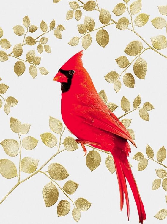 Picture of CHEERFUL CARDINAL 1