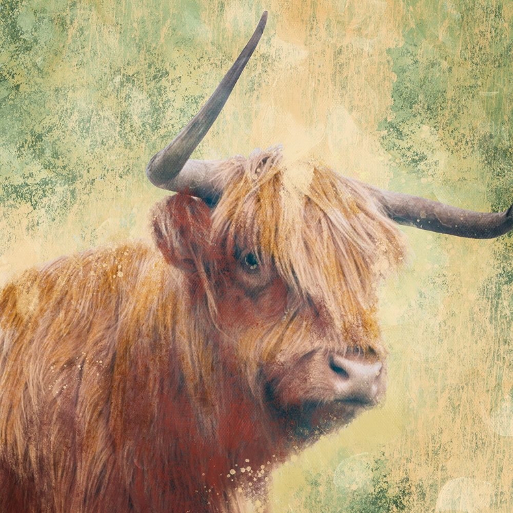 Picture of FURRY BULL