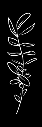 Picture of SIMPLE BLACK FLOWER