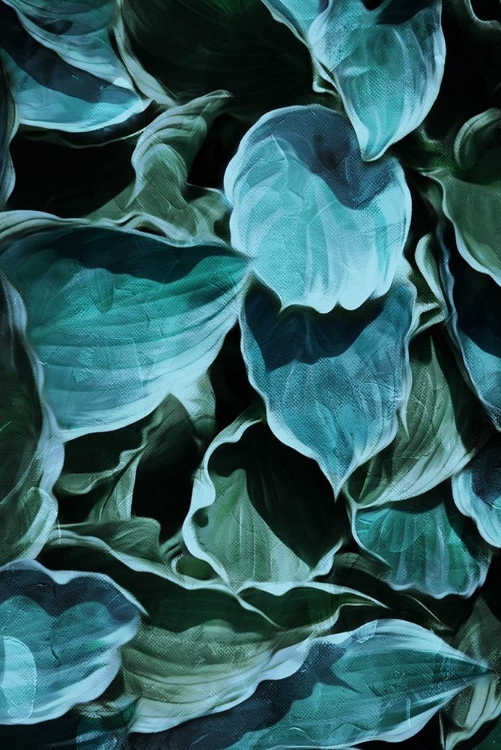 Picture of TEALMULI LEAVES