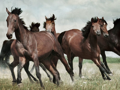 Picture of RUNNING HORSES 3