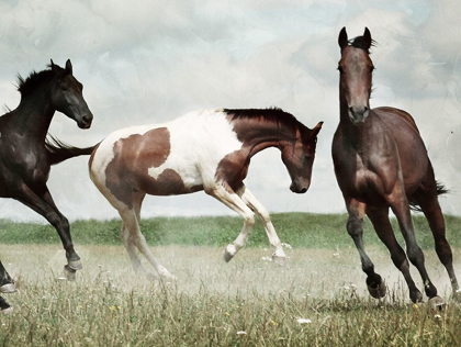 Picture of RUNNING HORSES 4
