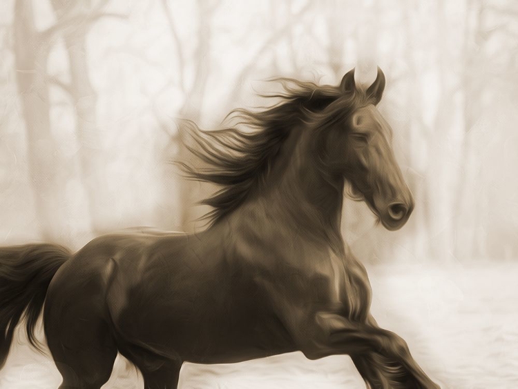 Picture of HORSE IN THE WIND