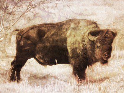 Picture of BUFFALO STANCE