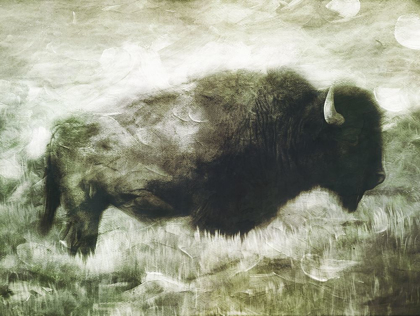 Picture of BUFFALO LOOK