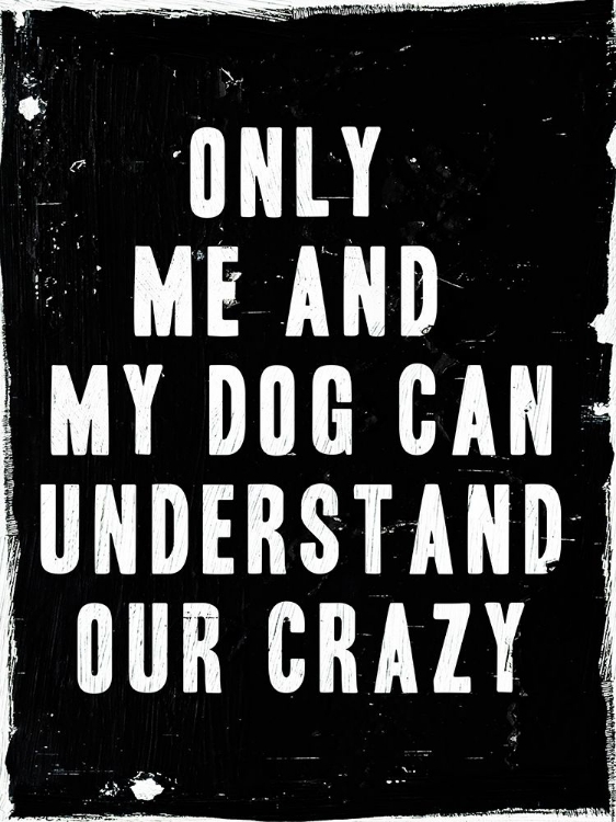 Picture of DOG CRAZY