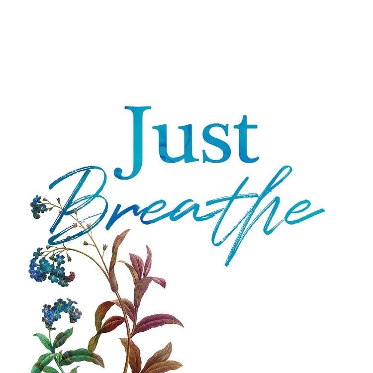 Picture of JUST BREATH