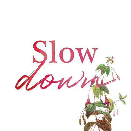 Picture of SLOW DOWN