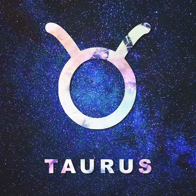 Picture of TAURUS SPACE