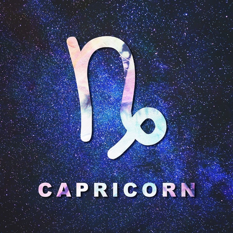 Picture of CAPRICORN SPACE