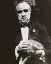 Picture of MARLON BRANDO - THE GODFATHER