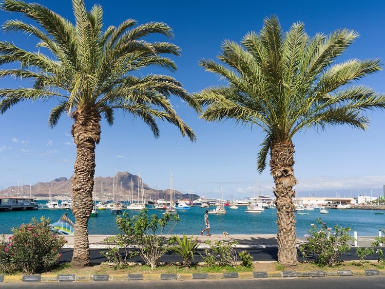 Picture of VIEW OF MARINA AND PORTO GRANDE CITY MINDELO-A SEAPORT ON THE ISLAND SAO VICENTE-CAPE VERDE AFRICA