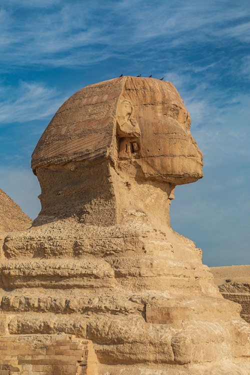 Picture of AFRICA-EGYPT-CAIRO GIZA PLATEAU GREAT SPHINX OF GIZA IN FRONT OF THE GREAT PYRAMID OF GIZA