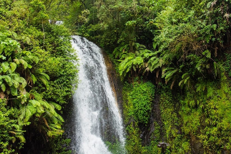 Picture of MADAGASCAR-ANTSIRANANA AMBER MOUNTAIN NATIONAL PARK WATERFALL