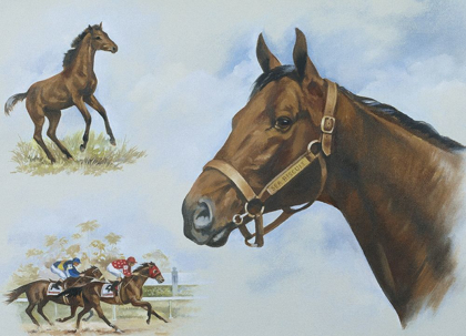 Picture of THOROUGHBRED I