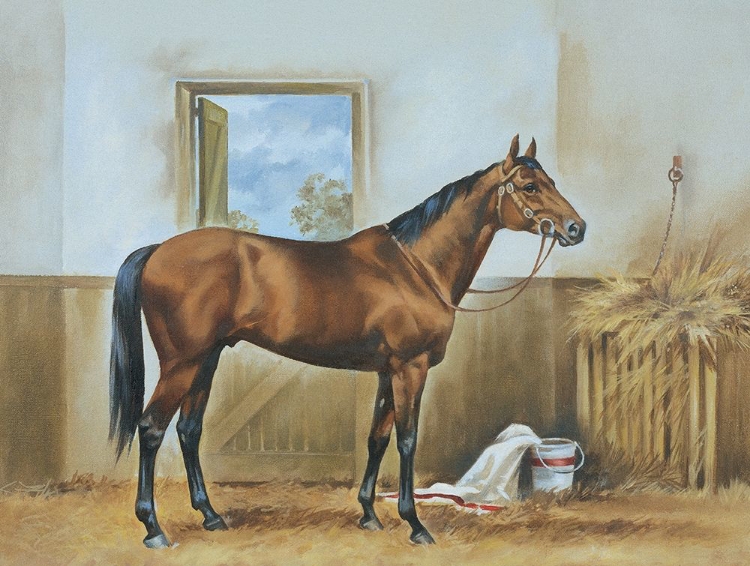 Picture of THOROUGHBRED II