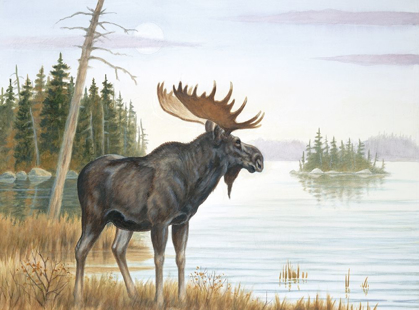 Picture of MISTY MOOSE