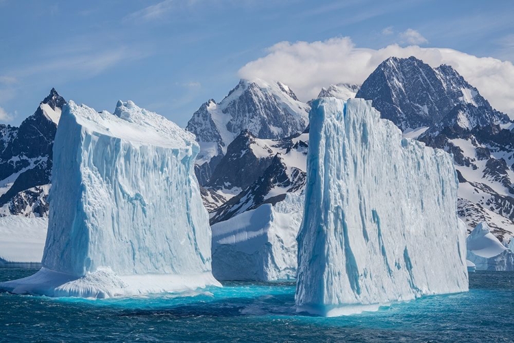 Picture of ANTARCTICA-SOUTH GEORGIA ISLAND-COOPERS BAY LANDSCAPE WITH ICEBERGS AND MOUNTAINS 